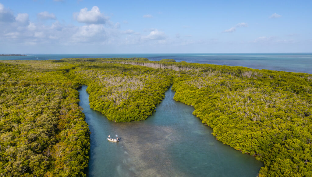 Islamorada, Florida: Florida Keys Fishing Captain Tim Klein directs a fly fishing client to find fish off of Islamorada in Florida Bay. (Patrick Farrell for WLRN)