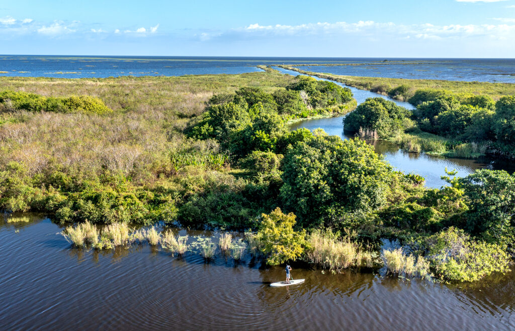 Clewiston, Florida: Birder Steve Buczynski heads out on his paddleboard from the Public Access Boat Ramp in Clewiston toward Lake Okeechobee to get a look at some of the early morning bird activity. A 30-year plan to restore the Everglades impacts millions of people who live, work and play in South Florida, from fishing captains and others who make their living on the water to birders and recreationists to scientists, (Patrick Farrell for WLRN)