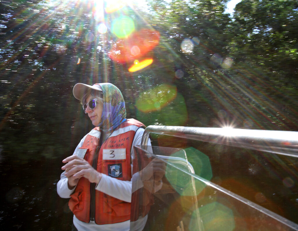 Everglades National Park: Dr. Evelyn Gaiser the George M. Barley, Jr. Endowed Scholars Chair at Florida International University talks about her research as she heads out to a research area in a mangrove forest off of Shark River in Everglades National Park with Lab Manager Rafael Traveiso. (Patrick Farrell for WLRN)