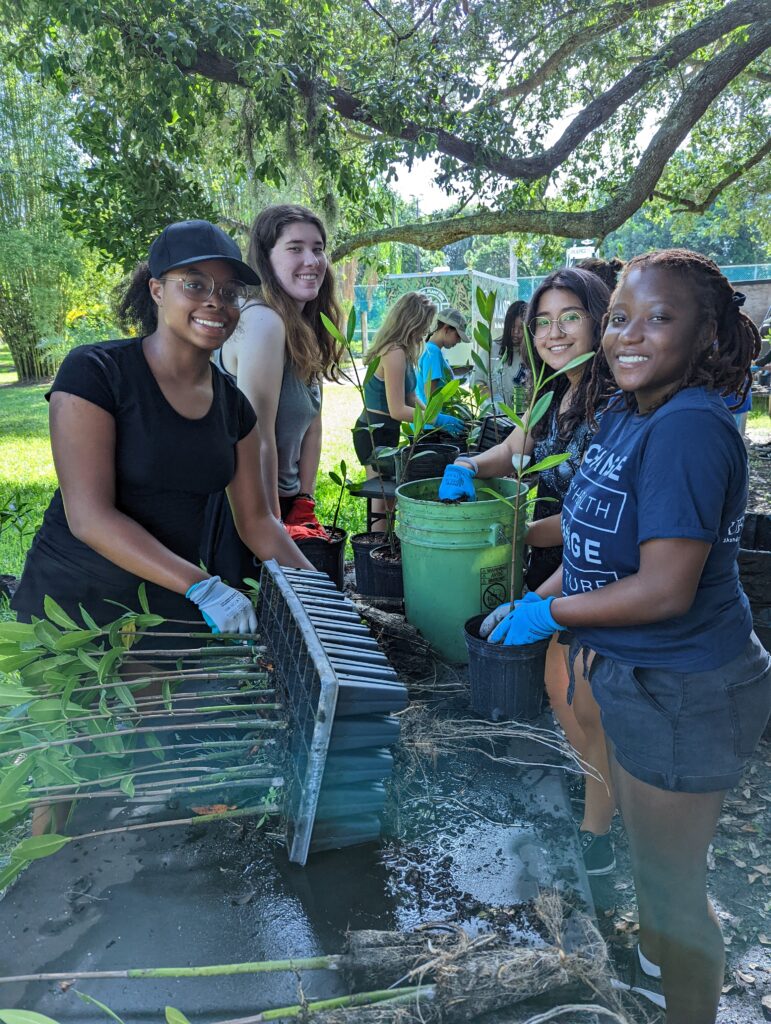 FAU Pine Jog Climate READY Ambassadors spend a morning with MANG nursery in West Palm Beach, where they are given hands-on activities to learn how mangroves are grown and how planting them can protect coastlines, an example of resilient action in our local coastal communities. (FAU Pine Jog)