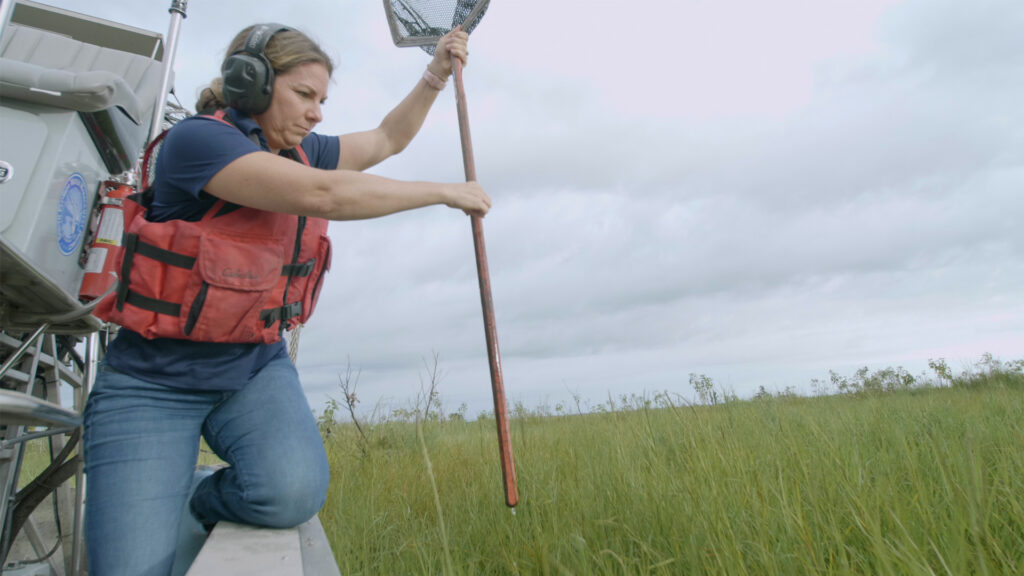 The Everglades Foundation's video series, "Everglades Stories from Across the Watershed" documents experiences of people across the Everglades ecosystem including Amber Moore, manager of the Riverwoods Field Lab. (Everglades Foundation image)