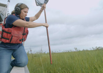 The Everglades Foundation's video series, "Everglades Stories from Across the Watershed" documents experiences of people across the Everglades ecosystem including Amber Moore, manager of the Riverwoods Field Lab. (Everglades Foundation image)