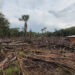 Small-scale deforestation in the Colombian Amazon. (Credit: Rhett A. Butler)