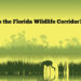 A screenshot from the video, "What is the Florida Wildlife Corridor?" (FAU CES)