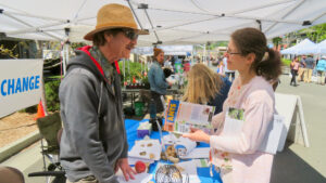 Many climate activists are involved in education, like the Green Living Festival in Novato, Calif., shown in 2019, and outreach efforts such as collecting signatures for ballot measures and lobbying government officials. (Fabrice Flori via Flickr, CC BY-SA)