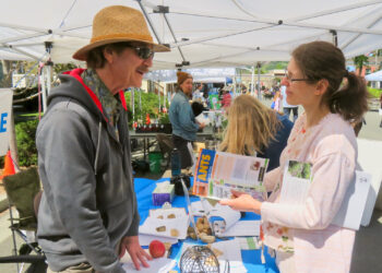 Many climate activists are involved in education, like the Green Living Festival in Novato, Calif., shown in 2019, and outreach efforts such as collecting signatures for ballot measures and lobbying government officials. (Fabrice Flori via Flickr, CC BY-SA)