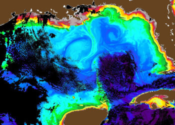 This high-quality image captured by PACE reveals eddies, the Loop Current, river plumes, and coastal circulation in the Gulf of Mexico. (Photo credit: The Optical Oceanography Lab)