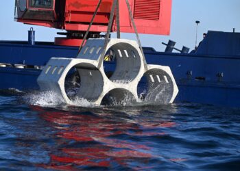 1Print works with the University of Miami to produce its SEAHIVE structures, which are designed to reduce wave energy and flooding, create marine habitats and enhance coastal resilience. (1Print photo)