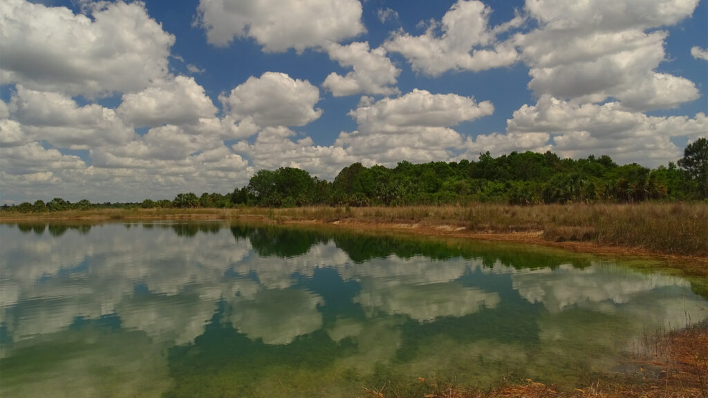 Weekiwachee Preserve in Hernando County (iStock image)
