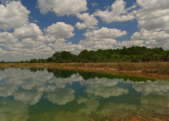Weekiwachee Preserve in Hernando County (iStock image)