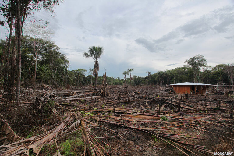 Small-scale deforestation in the Colombian Amazon. (Credit: Rhett A. Butler)