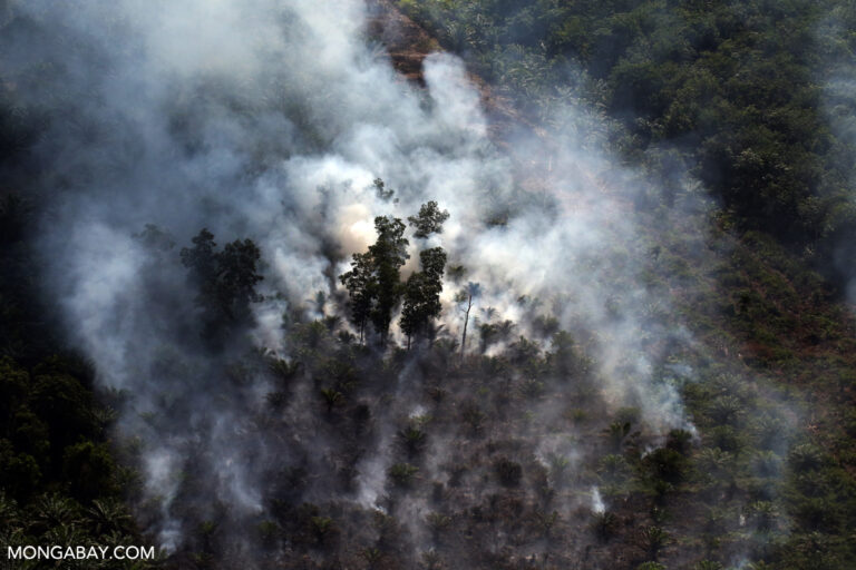 Smoke rising from a forest fire in Riau. (Image by Rhett A. Butler/Mongabay)