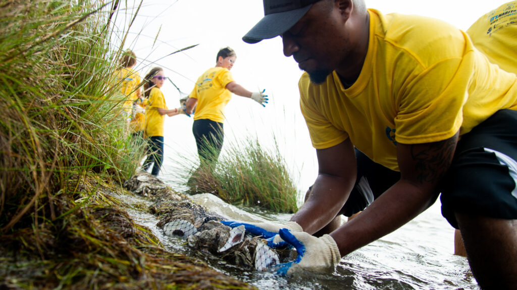 The Harte Research Institute for Gulf of Mexico Studies at Texas A&M University-Corpus Christi started the Sink Your Shucks program in 2009. So far it has put 3 million pounds of shells back into the ocean where oyster larvae can find them. (Courtesy Texas A&M University-Corpus Christi)