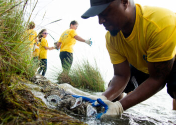 The Harte Research Institute for Gulf of Mexico Studies at Texas A&M University-Corpus Christi started the Sink Your Shucks program in 2009. So far it has put 3 million pounds of shells back into the ocean where oyster larvae can find them. (Courtesy Texas A&M University-Corpus Christi)