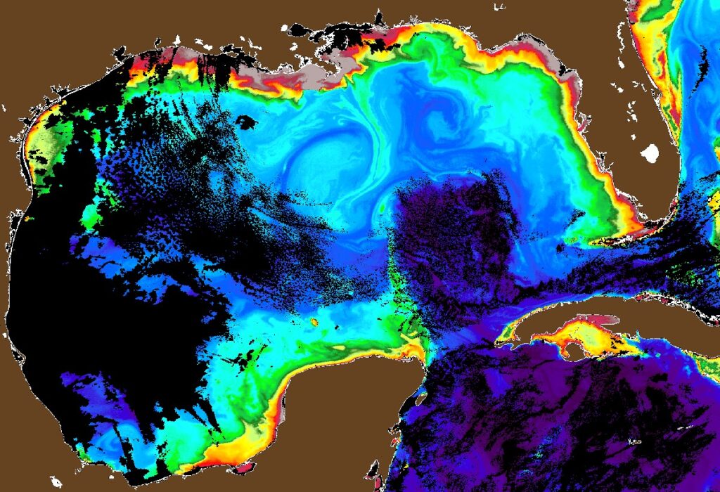 This high-quality image captured by PACE reveals eddies, the Loop Current, river plumes, and coastal circulation in the Gulf of Mexico. (Photo credit: The Optical Oceanography Lab)