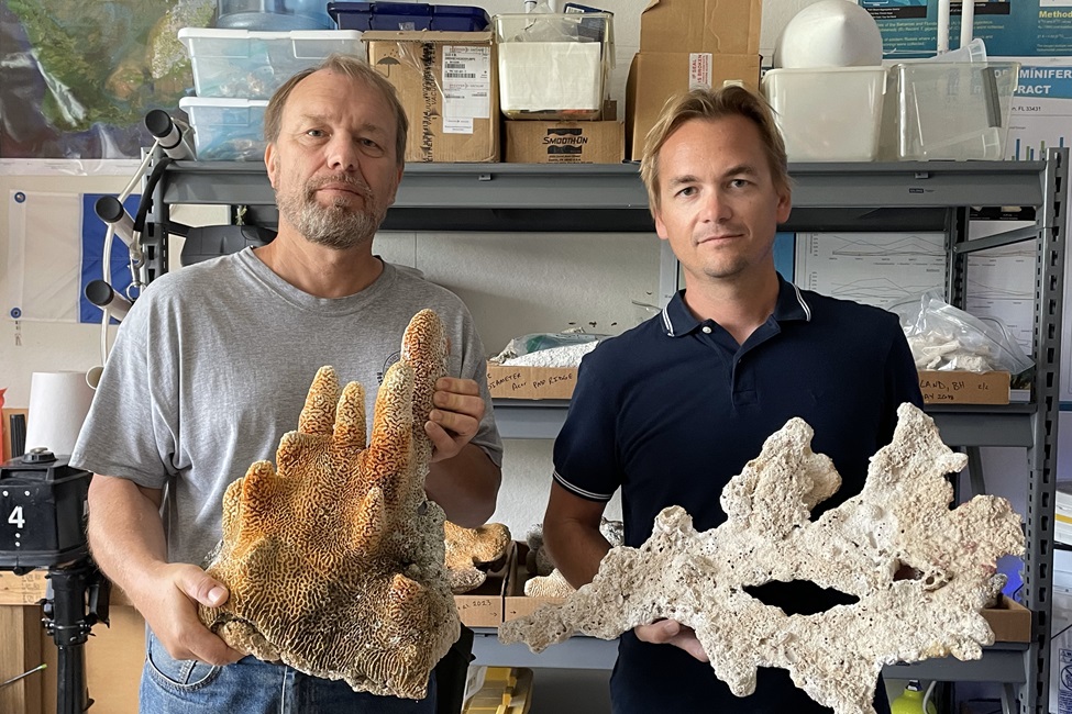 Anton Oleinik, Ph.D., (left) holds a well-preserved subfossil of a Late Holocene hard pillar coral (Dendrogyra cylindrus), now genetically extinct along the Florida reef tract due to a disease outbreak in 2014, and Alex Modys, Ph.D., holds a Late Holocene subfossil of an elkhorn coral (Acropora palmata). (Photo credit: Florida Atlantic University)