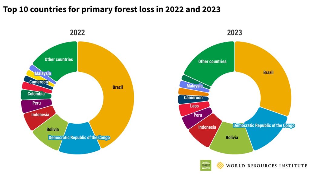 Top 10 countries for primary forest loss in 2022 and 2023 (Global Forest Watch and World Resources Institute, via Mongabay)