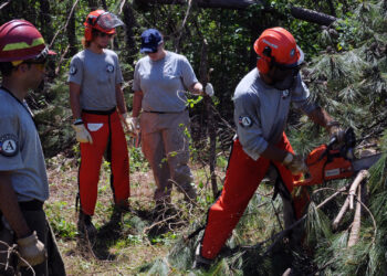 AmeriCorps members cut storm debris in response to a tornado in Mississippi. AmeriCorps, the federal agency for national service, serves as the hub for the American Climate Corps. (George Armstrong, Public domain, via Wikimedia Commons)