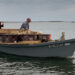 Local oyster harvesters help deploy limestone rock, a restoration material, for the Apalachicola Bay System Initiative oyster reef restoration experiments. (Courtesy FSU Coastal and Marine Laboratory)