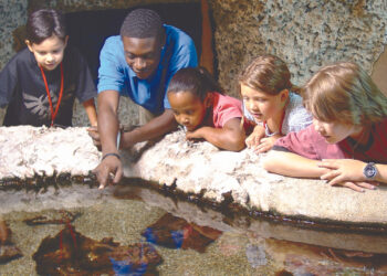 Young guests look at the Florida Ecoscapes exhibit at the Museum of Discovery and Science. (Photo courtesy of MODS)