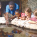 Young guests look at the Florida Ecoscapes exhibit at the Museum of Discovery and Science. (Photo courtesy of MODS)