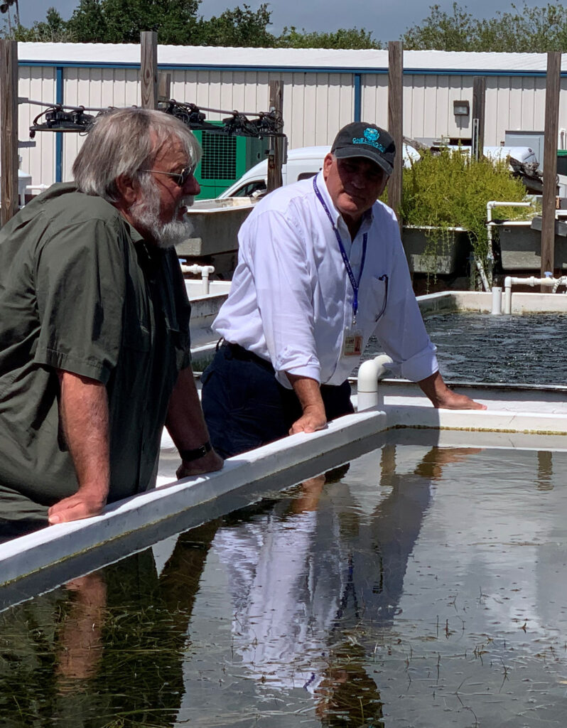 Dennis Hanisak, left, inspects seagrass nursery tanks with Duane De Freese. (Photo courtesy of Duane De Freese)
