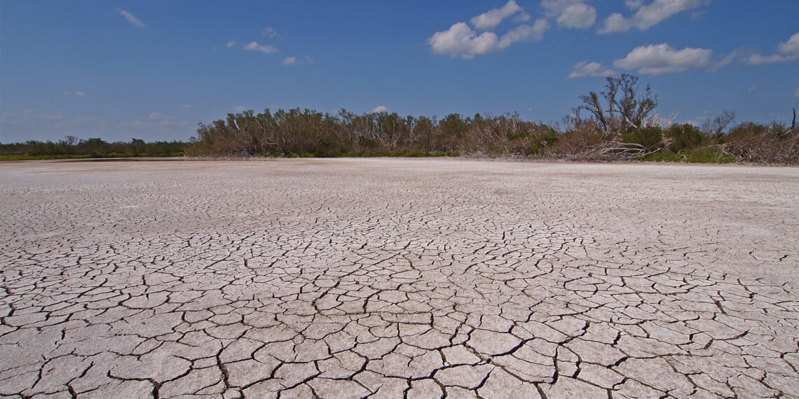 Cracked mud in a pond in Everglades National Park during drought conditions. (iStock image)