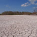 Cracked mud in a pond in Everglades National Park during drought conditions. (iStock image)