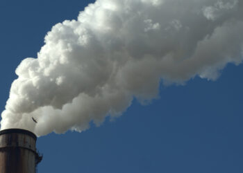 A smokestack at a Florida power plant (iStock image)