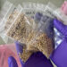 bags of sorghum seeds that spent 5 months in space An expert at the Plant Breeding and Genetics Laboratory holds the sorghum seeds that spent five months at the International Space Station. (Katy Laffan/IAEA)