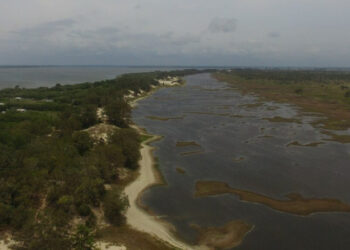 The marginal belt, vegetated dunes and a seasonal lagoon of Marinheiros Islands. (Photo: Rafael M. Pinheiro, used with permission)
