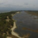 The marginal belt, vegetated dunes and a seasonal lagoon of Marinheiros Islands. (Photo: Rafael M. Pinheiro, used with permission)