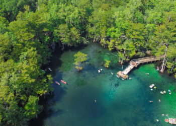 Morrison Springs County Park in Walton County (iStock image)