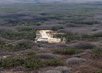 Raccoon Point (pictured) together with Bear Island were responsible for 585 barrels of oil a day in 2020, about one-seventh of Florida’s daily total. (Credit: National Parks Conservation Association/LightHawk)