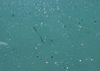 Tiny bits of plastic known as microplastics are being found in the ocean, while even smaller particles known as nanoplastics are also present but are invisible to the naked eye. (iStock image)
