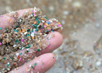 Plastic particles in the sand at a beach (iStock image)