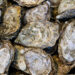 Oysters (iStock image)