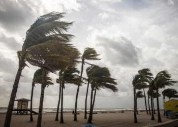 A windy Florida beach before a storm (iStock image)