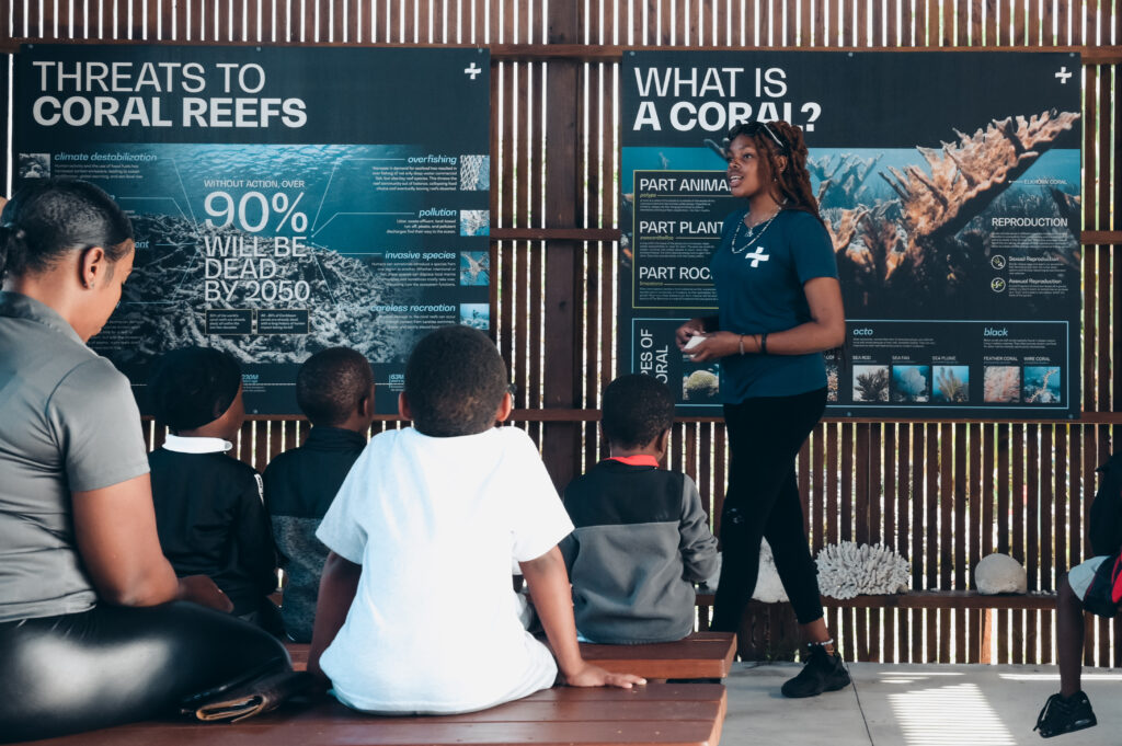 Coral Vita’s coral farm in the Bahamas offers public tours in which visitors learn about corals and the problems they’re facing. (Photo courtesy of Coral Vita)