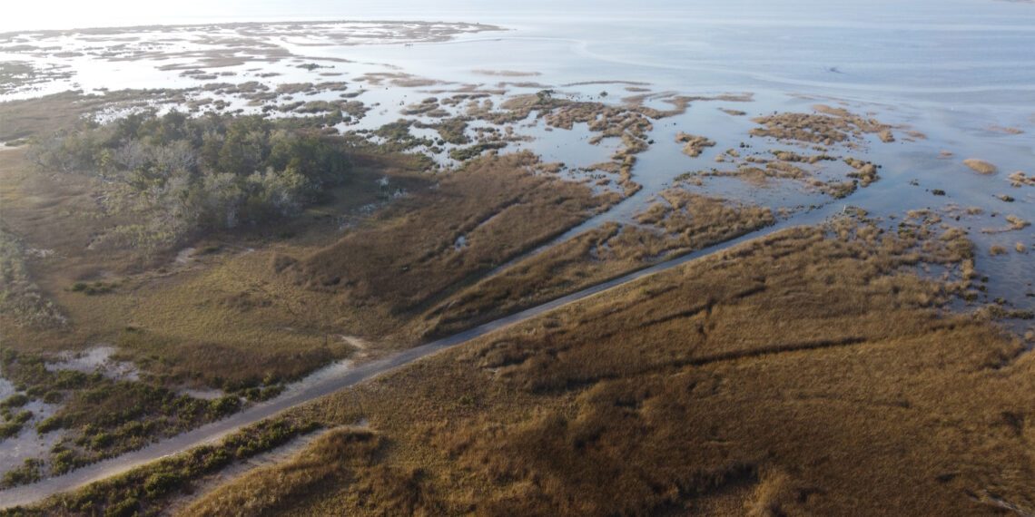 An aerial view of a coastal wetland in North Florida, located in Hagens Cove Park in Perry (Chastizement, CC BY-SA 4.0, via Wikimedia Commons)