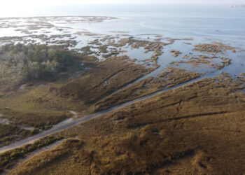 An aerial view of a coastal wetland in North Florida, located in Hagens Cove Park in Perry (Chastizement, CC BY-SA 4.0, via Wikimedia Commons)