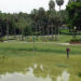 A Florida water body with excessive algae growth (USGS, Public domain, via Wikimedia Commons)