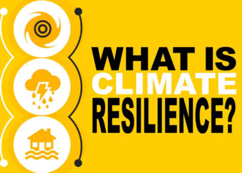 A screenshot from the bite-sized video, "What is climate resilience?" (FAU Center for Environmental Studies)