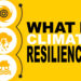 A screenshot from the bite-sized video, "What is climate resilience?" (FAU Center for Environmental Studies)