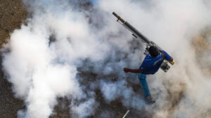 A health worker fumigates against dengue on July 28, 2023, in Colombo, Sri Lanka. Thilina Kaluthotage / NurPhoto via Getty Images