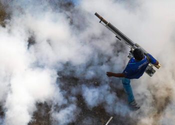A health worker fumigates against dengue on July 28, 2023, in Colombo, Sri Lanka. Thilina Kaluthotage / NurPhoto via Getty Images