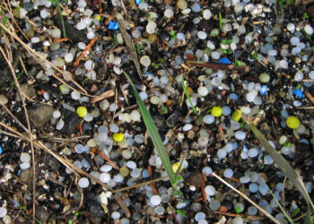Plastic pellets, sometimes called nurdles, are what manufacturers inject into molds to create larger items but can end up in the natural environment. (hockadilly via flickr, CC BY-SA 2.0)
