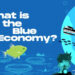 A screenshot from the video, "What is the blue economy? (FAU CES)