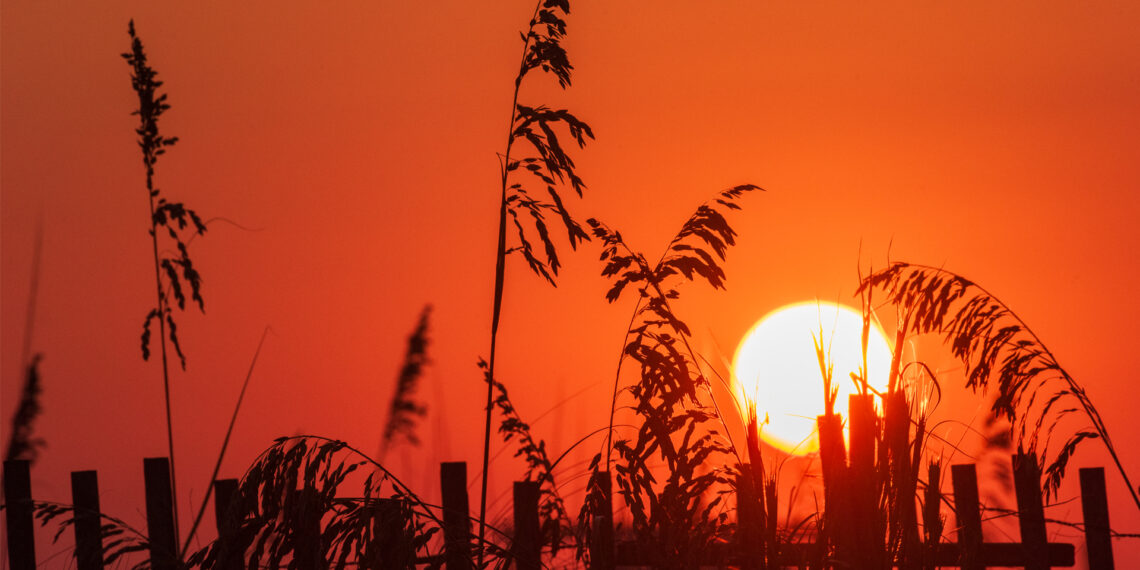 Grass and a beach fence are silhouetted by the setting sun on Okaloosa Island in Florida. (iStock image)