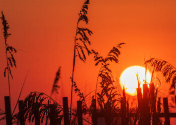 Grass and a beach fence are silhouetted by the setting sun on Okaloosa Island in Florida. (iStock image)